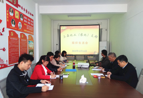 化工院公司黨委組織開(kāi)展2019年度 民主評(píng)議黨員工作 化工院公司黨委組織開(kāi)展2019年度 民主評(píng)議黨員工作