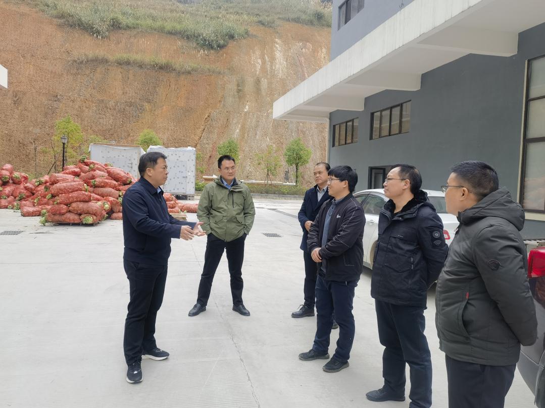 “冬日溫情 映照鄉(xiāng)村振興之路”廣西農(nóng)墾集團(tuán)副總經(jīng)理黃永華慰問定點(diǎn)幫扶村索法村駐村工作隊(duì)員 “冬日溫情 映照鄉(xiāng)村振興之路”廣西農(nóng)墾集團(tuán)副總經(jīng)理黃永華慰問定點(diǎn)幫扶村索法村駐村工作隊(duì)員